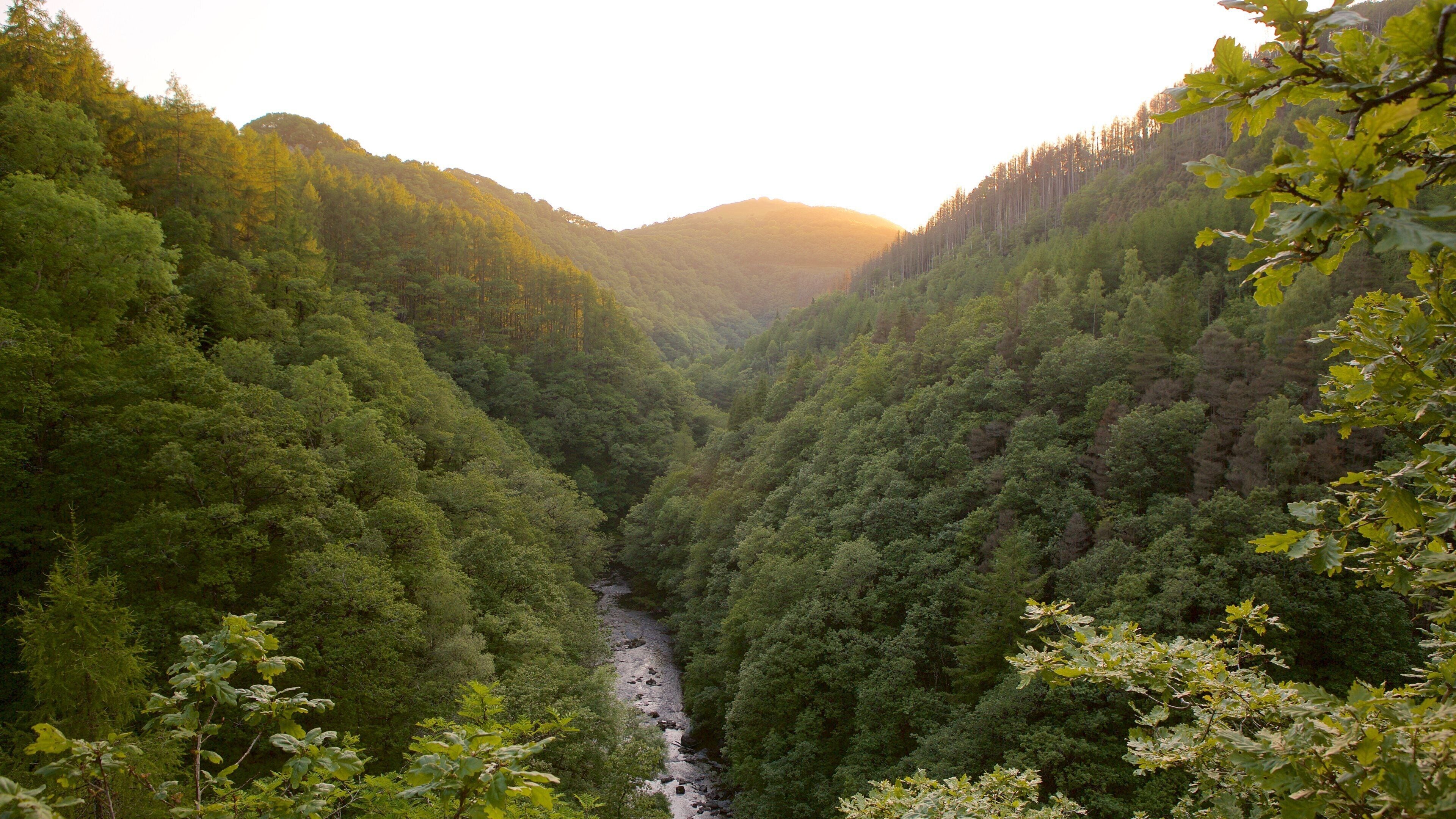 Devil\'s Bridge which includes tranquil scenes, forests and landscape views