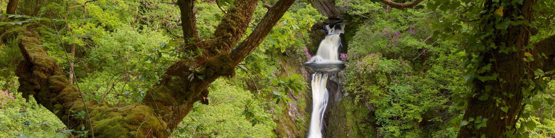 Devil\'s Bridge which includes tranquil scenes, forest scenes and a waterfall