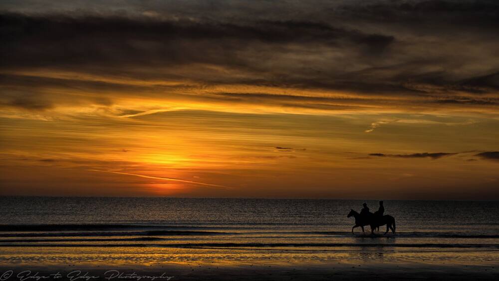 Early morning trot for the horses as the sun rises over the Irish sea