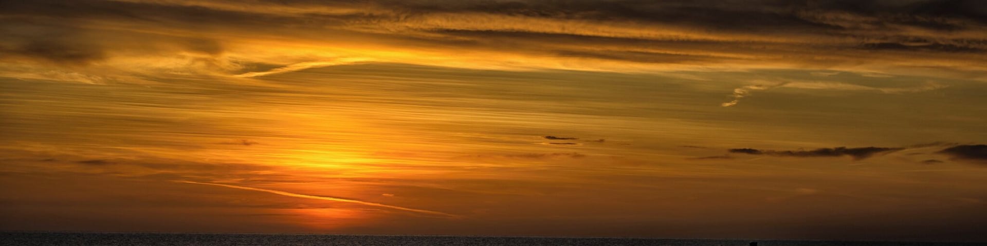 Early morning trot for the horses as the sun rises over the Irish sea