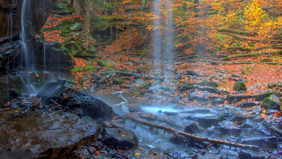 A waterfall in a forest with autumn leaves and rocks.