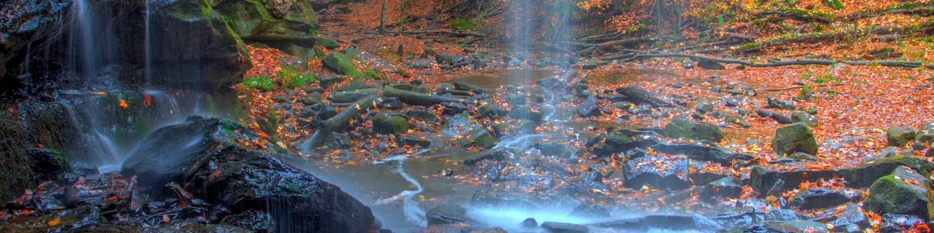 Uma cascata em uma floresta com folhas de outono e pedras.