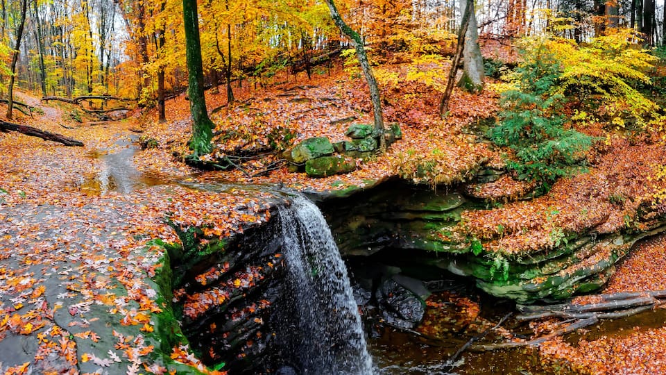 A waterfall in a forest with autumn leaves.