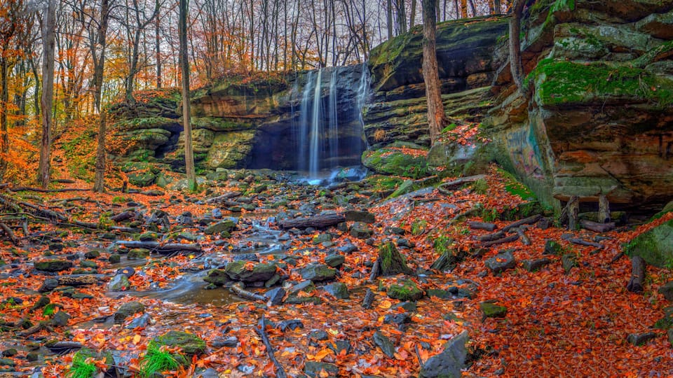 A waterfall in a forest with autumn leaves.
