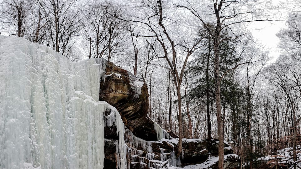 A frozen waterfall in a forest.