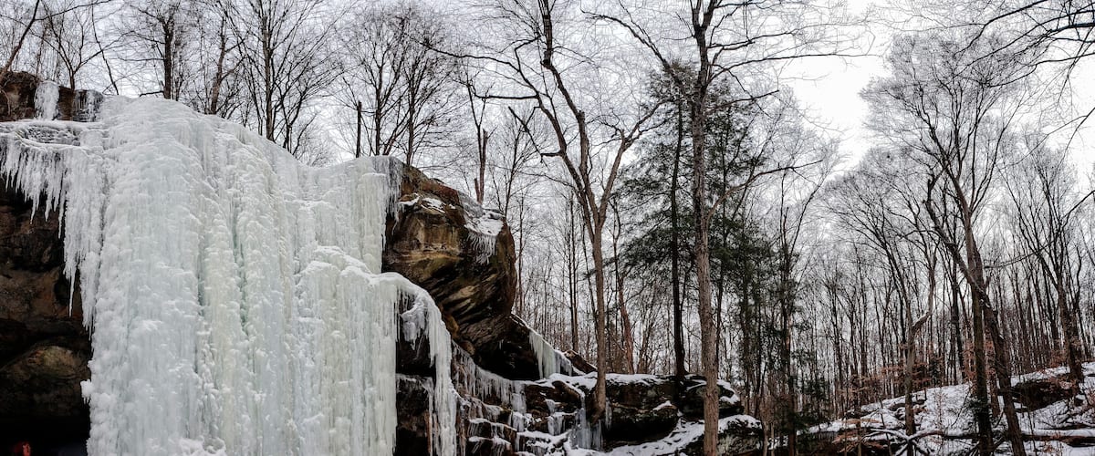 A frozen waterfall in a forest.