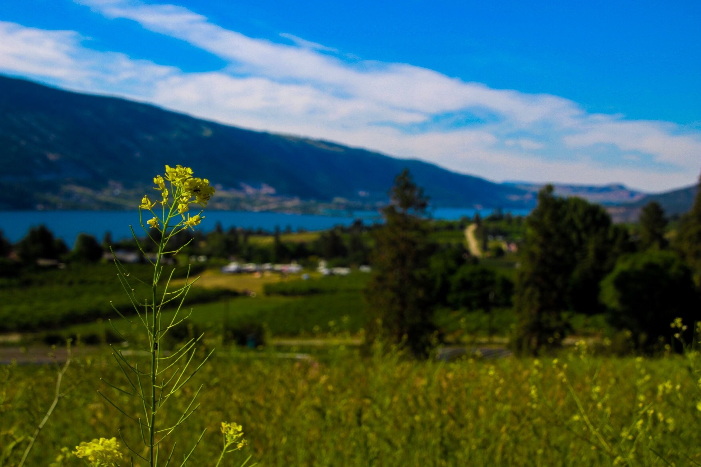 Out on one of the many farms in the area. There are so many beautiful views in this area! #BVSBlue