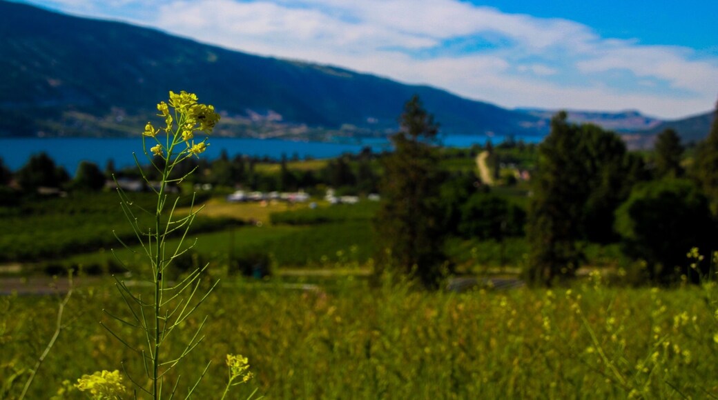 Out on one of the many farms in the area. There are so many beautiful views in this area! #BVSBlue