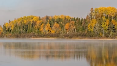 A lake in the forest in Canada, during the Indian summer, with fog on the water in the morning