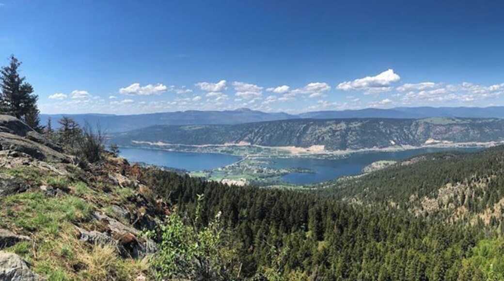 amazing look out that took a little trek to get to. its posted on google maps as 'Oyama Lookout' what it doesnt tell you is that half way up it becomes an old logging road. good thing we had a jeep! what a spot! #okanaganvalley #omaya #jeep #backroads