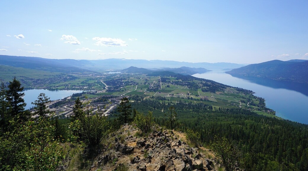 Over looking the beautiful Okanagan. Wood lake to the left and Okanagan lake to the right. The Okanagan is a beautiful spot in the BC interior.
#hiking
#weekendgetaway