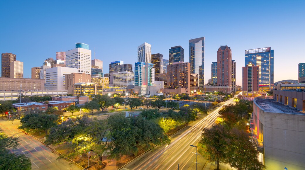 Houston, Texas, USA City Skyline