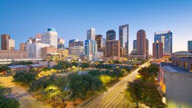 Houston, Texas, USA City Skyline