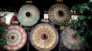 #Coffee #CostaRica #CentralAmerica
Evolução das rodas dos "Oxcart"
A bordo de um cruzeiro, fizemos uma parada em Puntarenas e fomos conhecer uma plantação de café. Passeio muito interessante e esclarecedor de todas as etapas do ciclo do café, desde o plantio até ao empacotamento, passando pelas etapas da colheita, secagem dos grãos e torrefação.