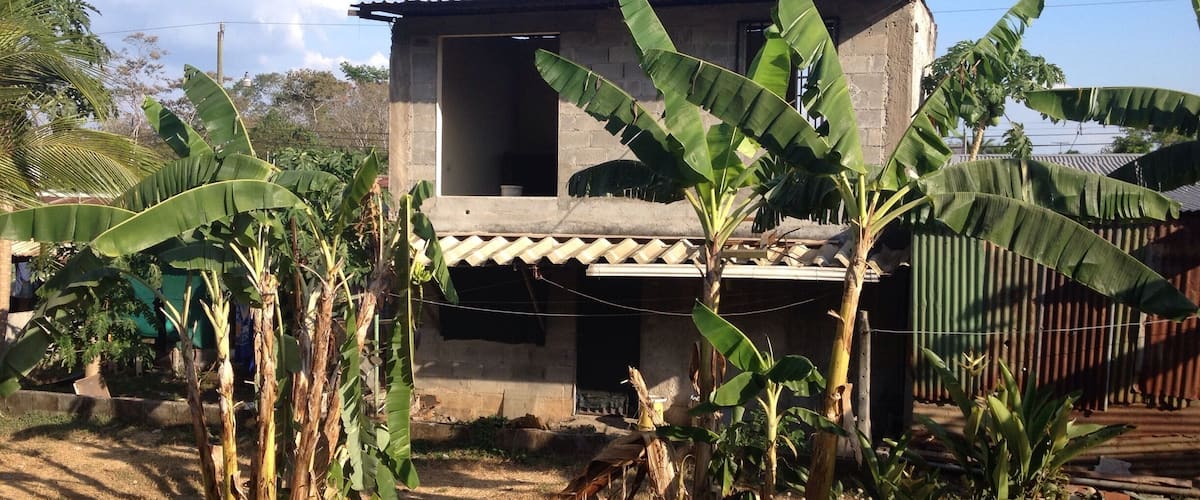 A rural house with a corrugated metal roof, surrounded by banana trees and a dirt path.