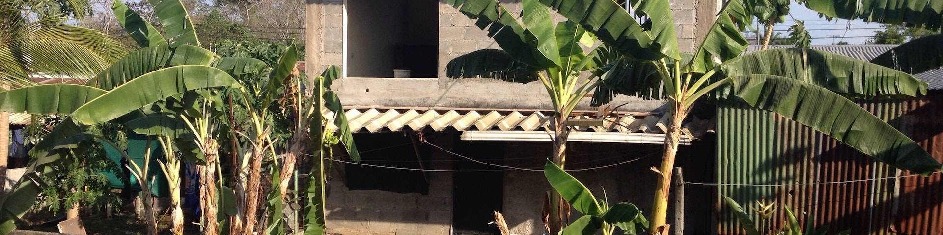 A rural house with a corrugated metal roof, surrounded by banana trees and a dirt path.
