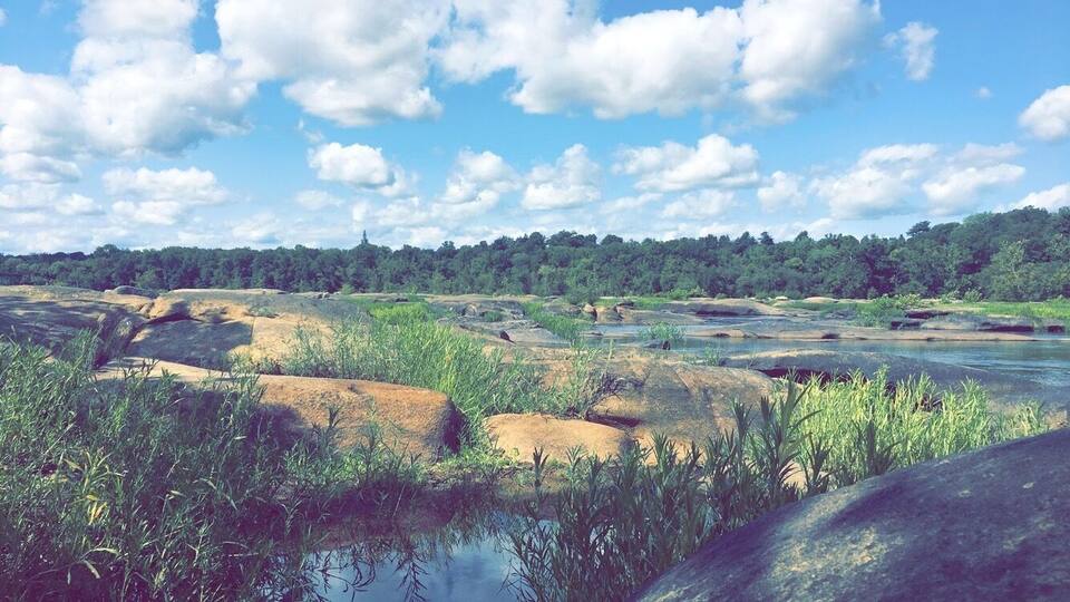 A river landscape with rocks and greenery.