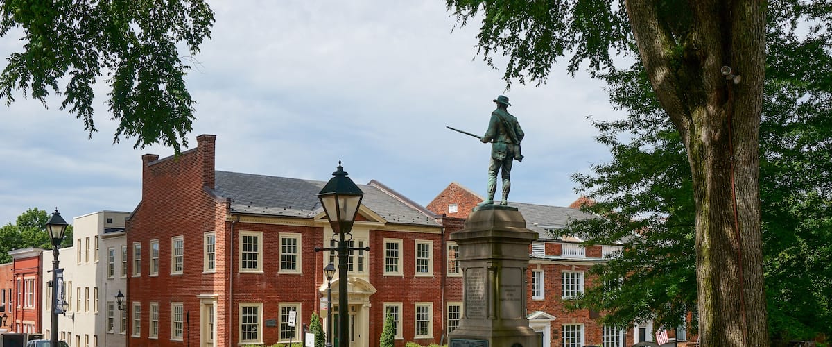 A statue of a historical figure, a cannon, and a bench in a park with brick buildings in the background.