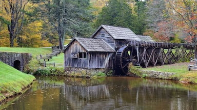 A wooden mill with a water wheel, surrounded by autumn foliage and a calm river.
