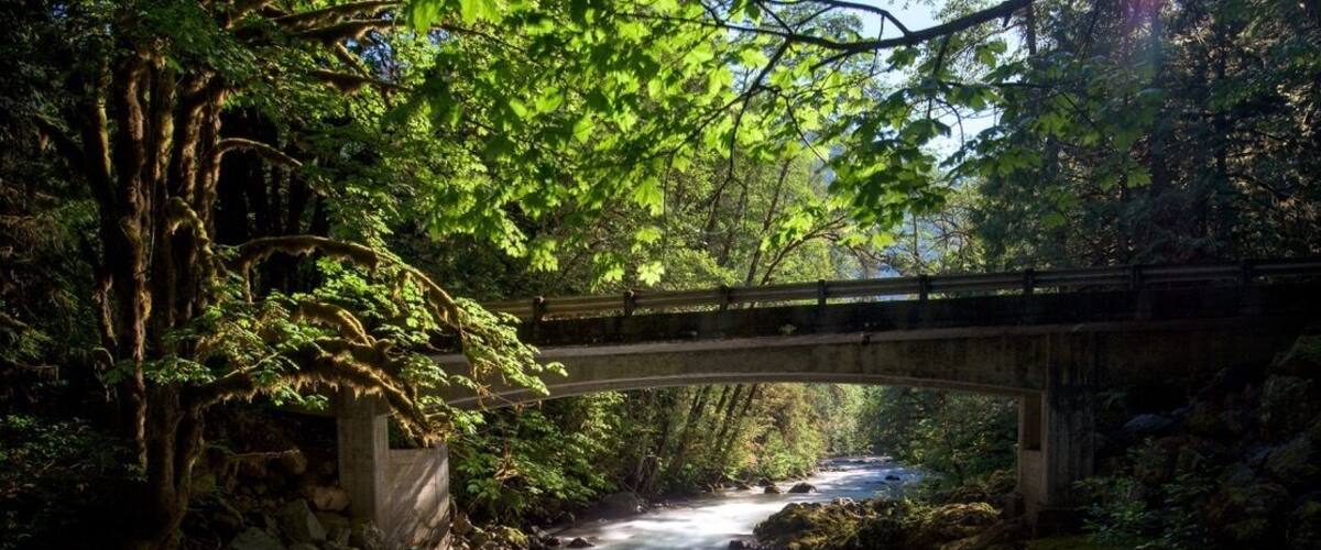 A river flowing under a bridge surrounded by lush greenery.