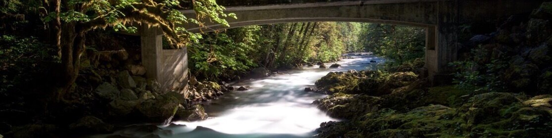 A river flowing under a bridge surrounded by lush greenery.
