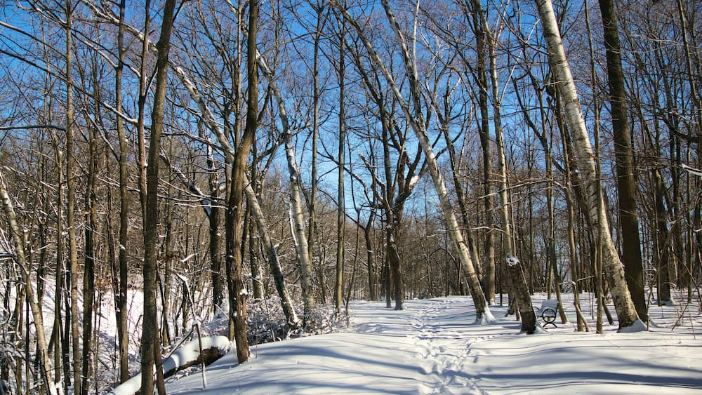Under a clear blue Winter sky, fresh snow covers a hiking trail and forest landscape at Wehr Nature Center in Franklin, WI.