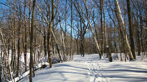 ํ๋ญํด๋ฆฐ