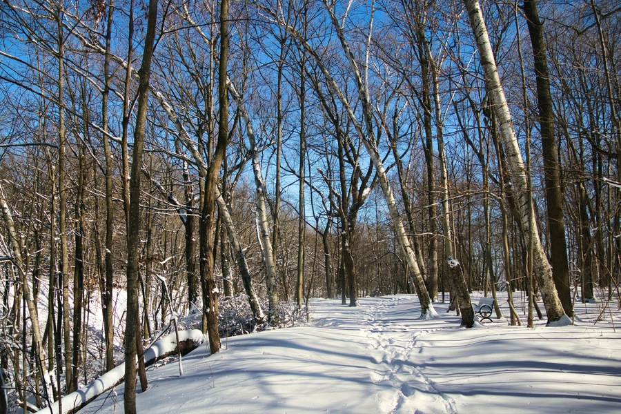 Under a clear blue Winter sky, fresh snow covers a hiking trail and forest landscape at Wehr Nature Center in Franklin, WI.
