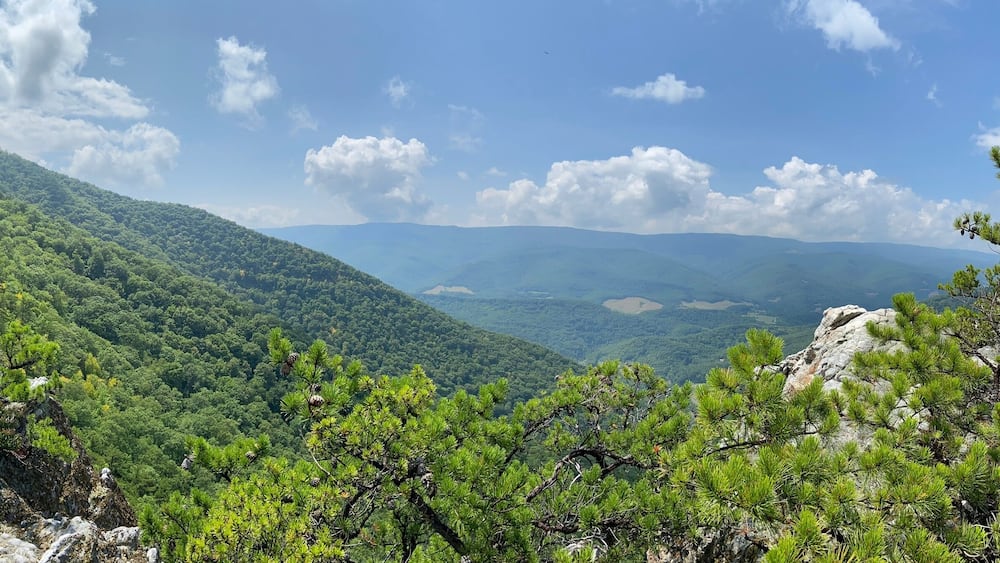 Eine gebirgige Landschaft mit dichten grünen Wäldern und steinernen Felsvorsprüngen.