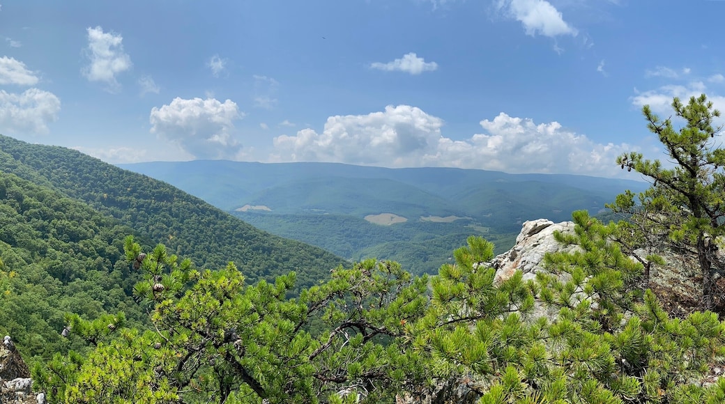 Chimney Tops via North Fork Mountain - Cabins, WV