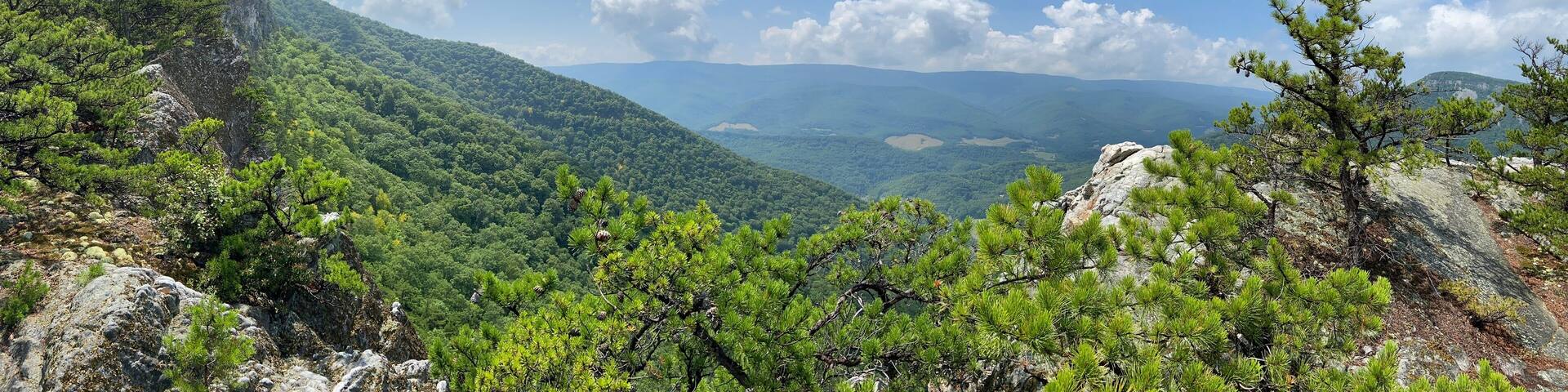 Chimney Tops via North Fork Mountain - Cabins, WV