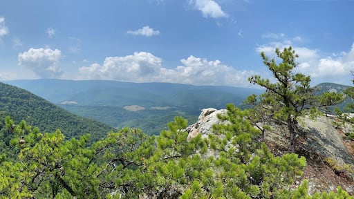 Chimney Tops via North Fork Mountain - Cabins, WV