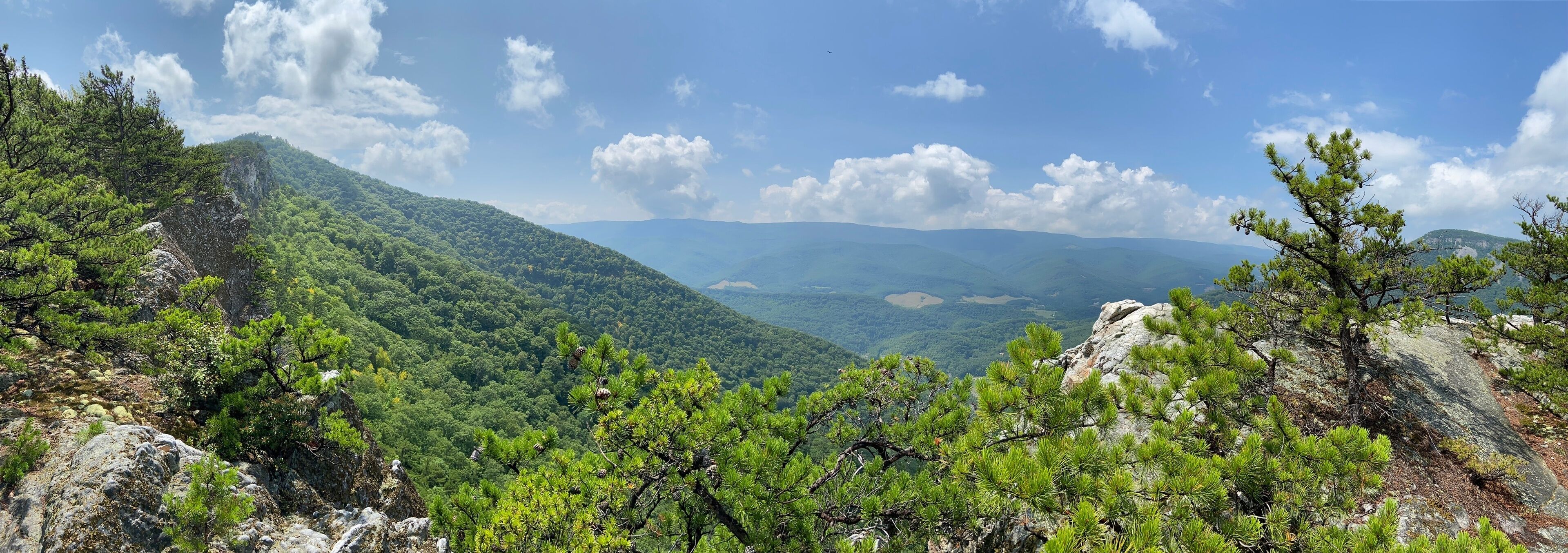 A mountainous landscape with dense green forests and rocky outcrops.