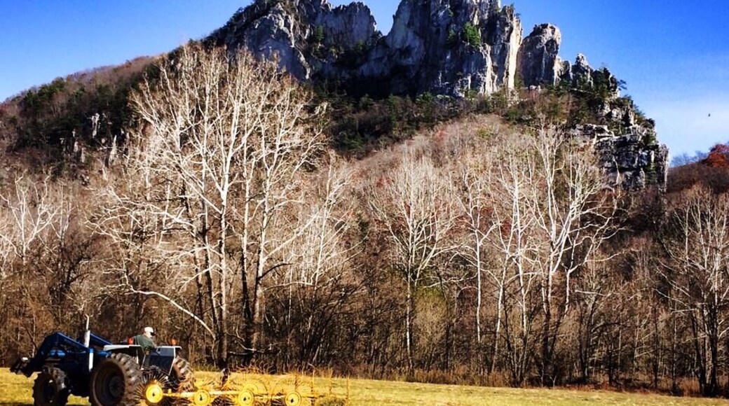 Seneca rock from the parking area.
