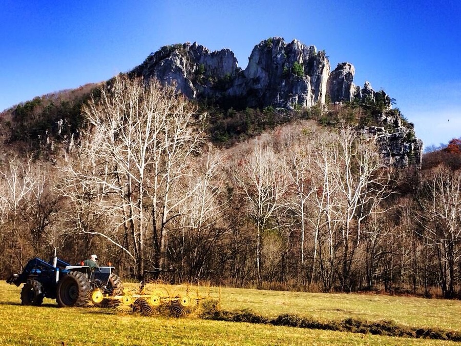 Seneca rock from the parking area.