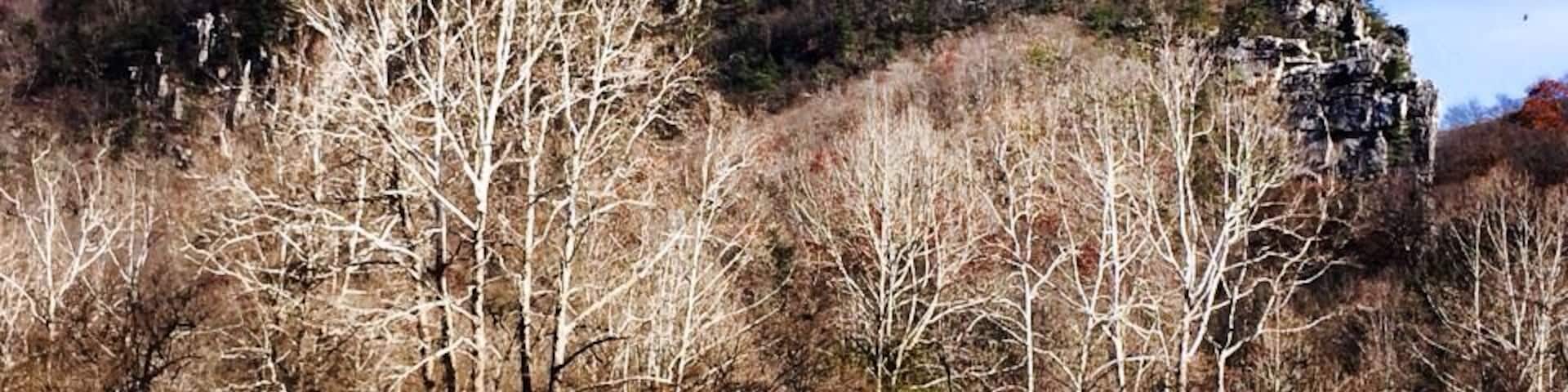 Seneca rock from the parking area.