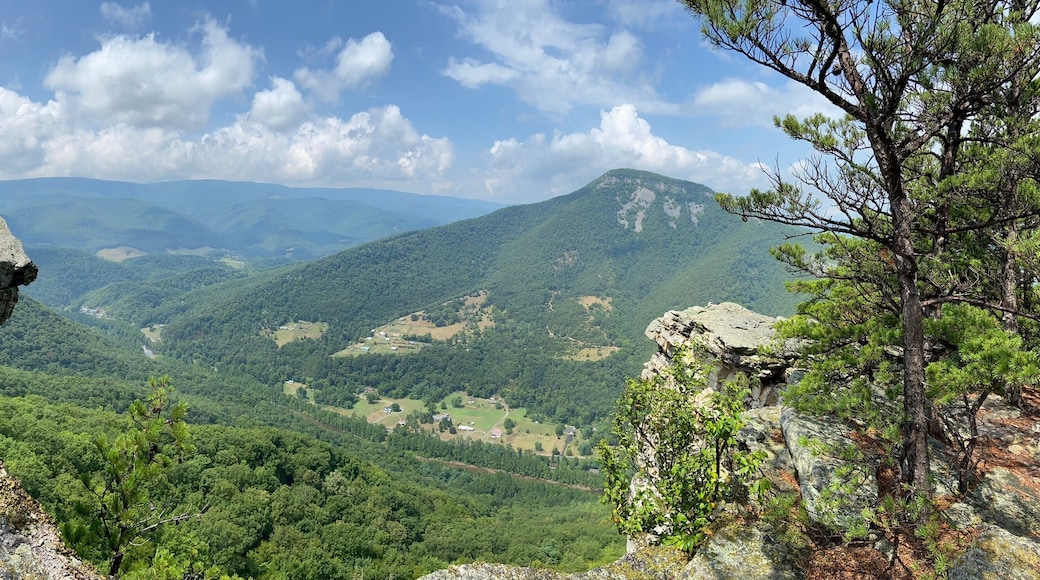 Chimney Tops via North Fork Mountain - Cabins, WV