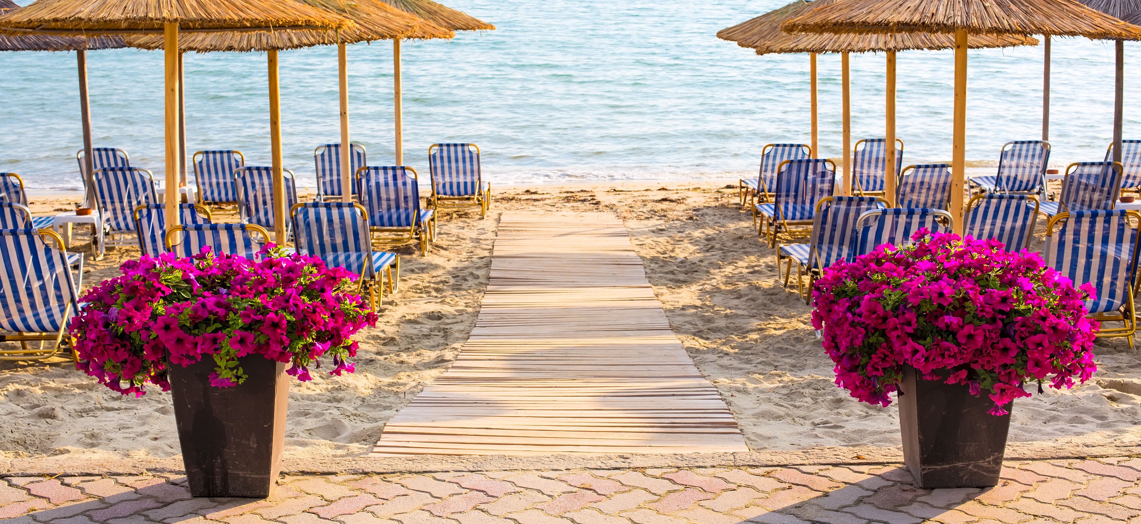 A beach with striped lounge chairs and thatched umbrellas, a wooden walkway, and potted pink flowers.