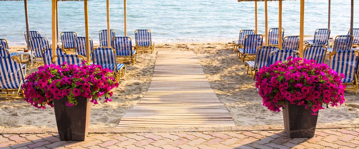 A beach with striped lounge chairs and thatched umbrellas, a wooden walkway, and potted pink flowers.