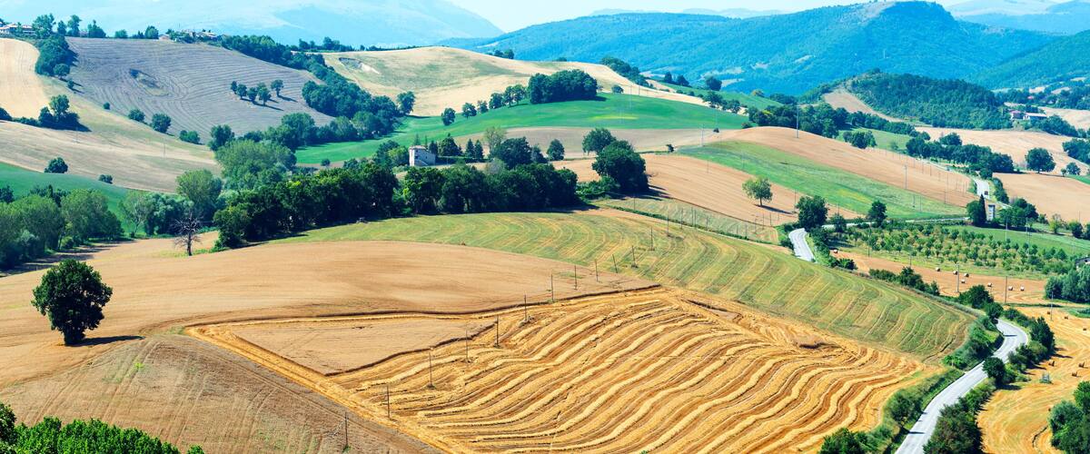 Rolling hills, a winding road, and fields with different crops.