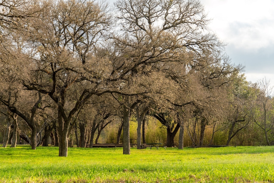 san antonio park in the spring