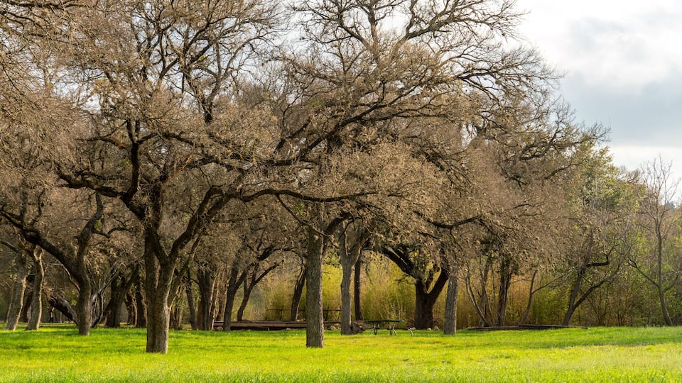 A park with numerous trees and a grassy field.