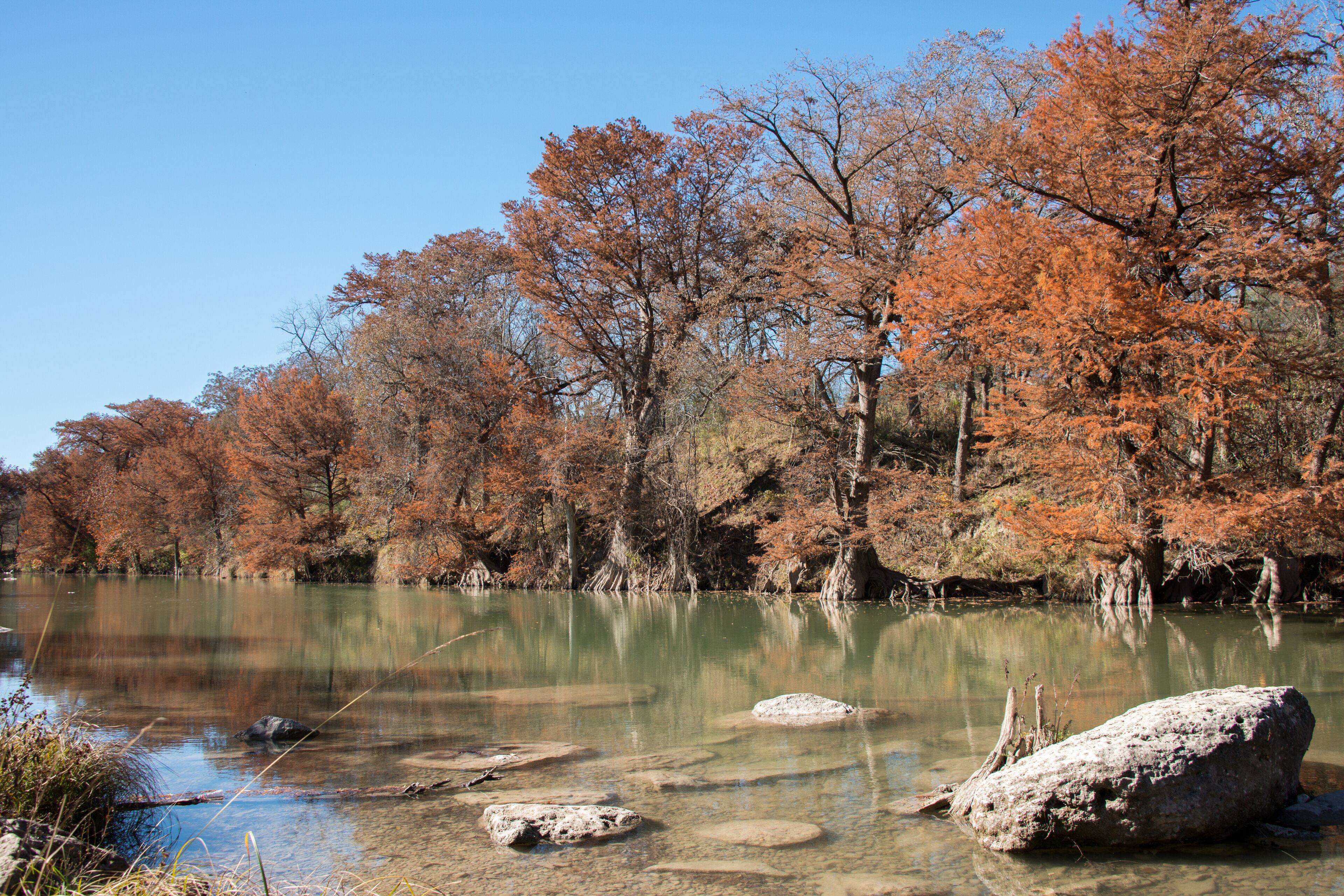 Guadalupe River State Park