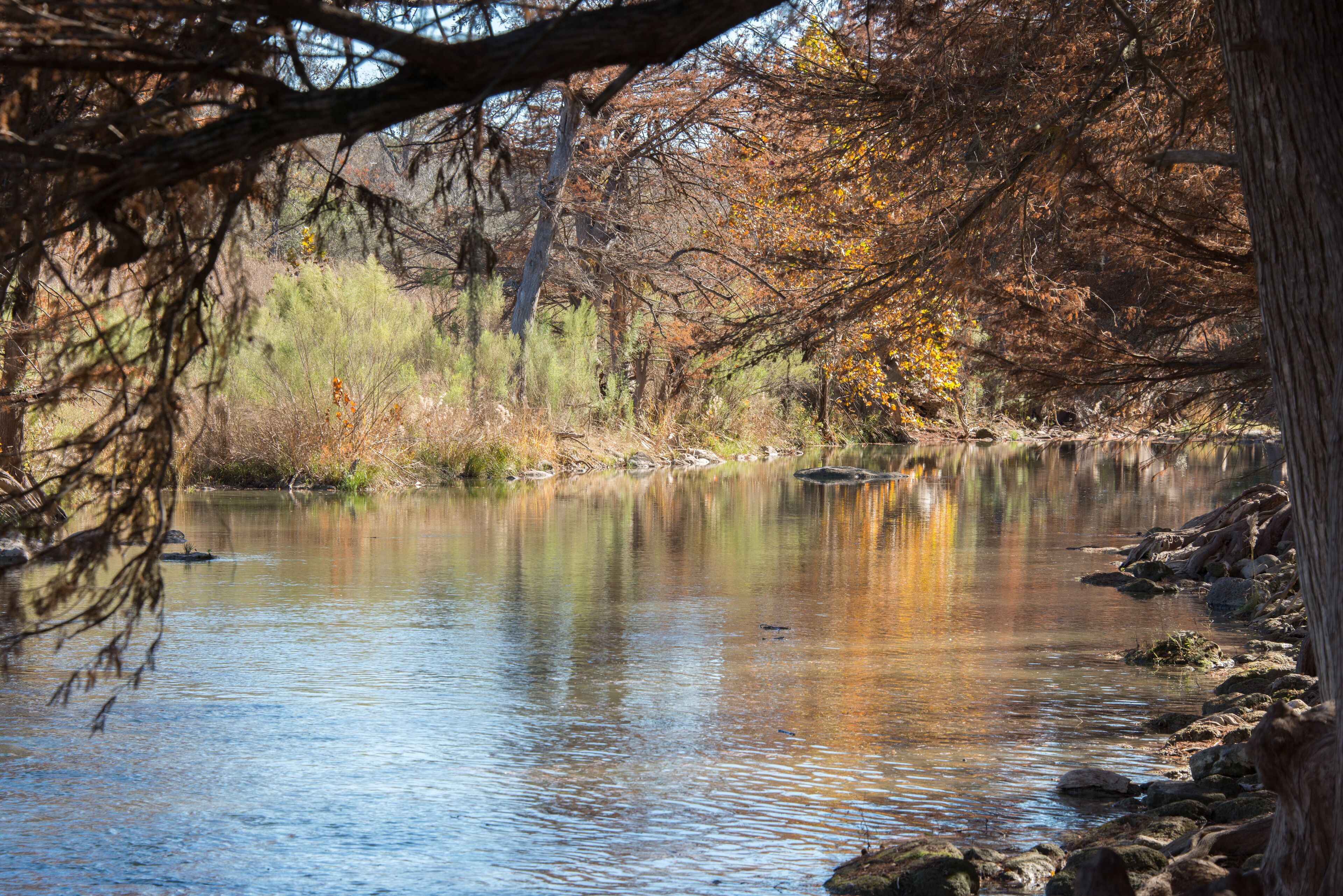 Guadalupe River State Park
