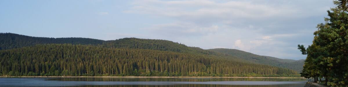 A calm lake with a sandy beach and dense forest in the background.