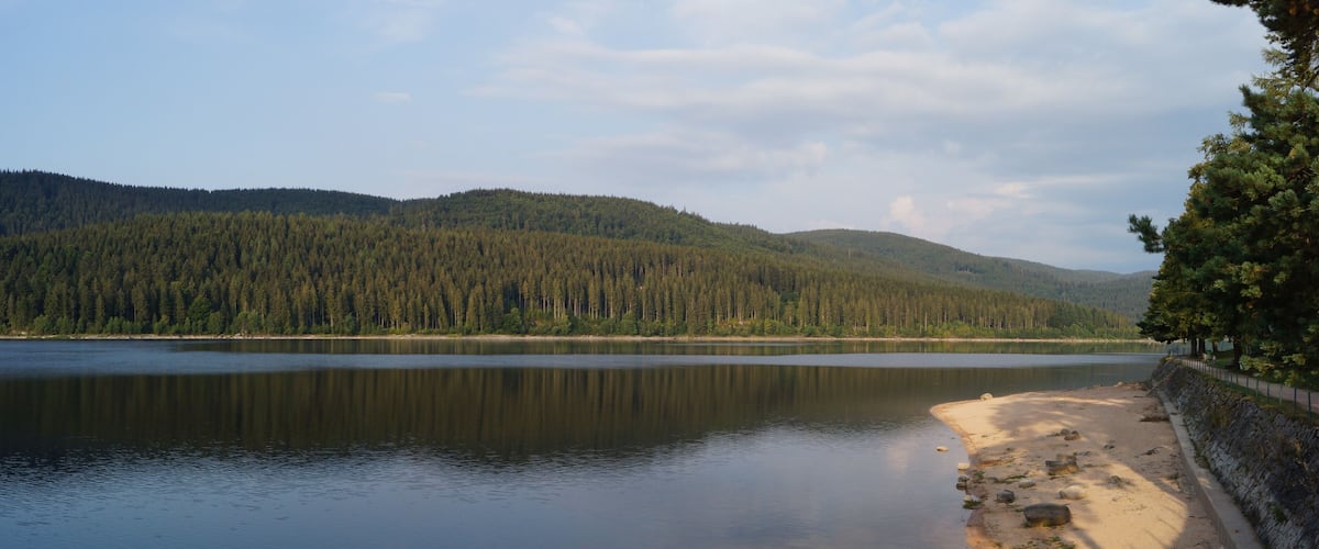 Ein ruhiger See mit einem Sandstrand und einem dichten Wald im Hintergrund.