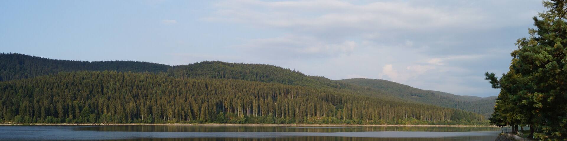 A calm lake with a sandy beach and dense forest in the background.
