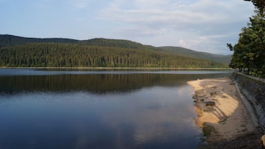 Um lago calmo com uma praia arenosa e uma floresta densa ao fundo.