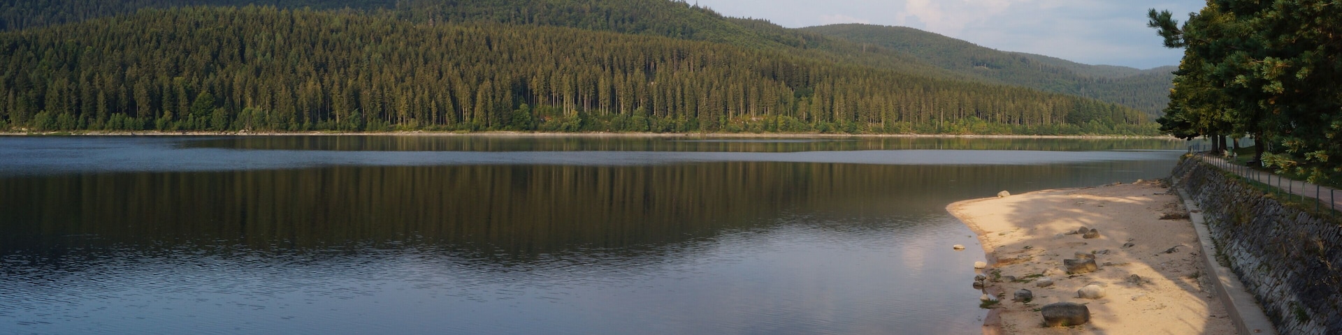 A calm lake with a sandy beach and dense forest in the background.