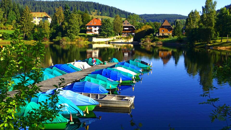 A lake with boats covered in blue tarps, surrounded by houses and trees.